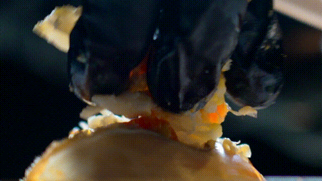 动图3 00_00_00-00_00_30.gif
